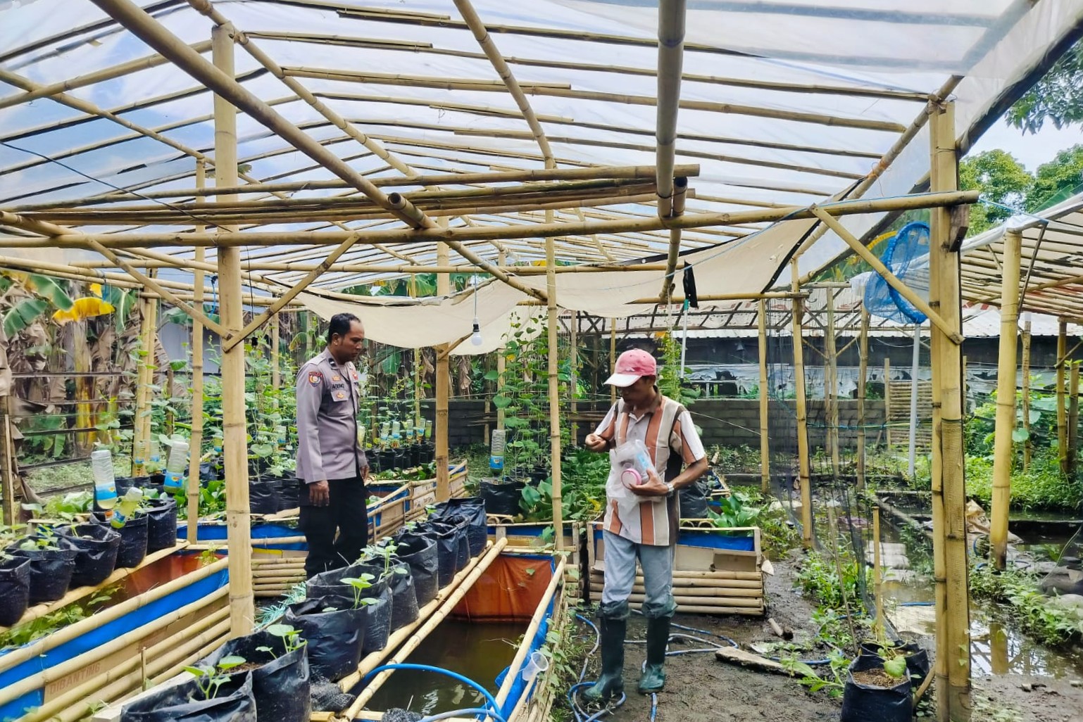 Bhabinkamtibmas Ajak Warga Dusun Tempit Tanam Sayur di Pekarangan Rumah