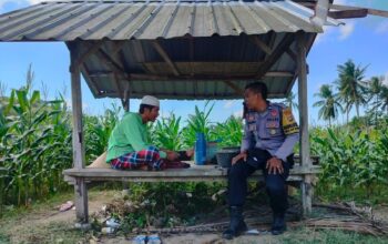 Sinergi Polri dan Petani Eyat Mayang, Wujud Nyata Ketahanan Pangan di Lombok Barat