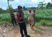 Sat Samapta Polres Lombok Barat Kawal Swasembada Pangan di Desa Gerung