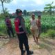 Sat Samapta Polres Lombok Barat Kawal Swasembada Pangan di Desa Gerung