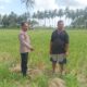 Polsek Gerung Perkuat Ketahanan Pangan Lewat Monitoring Pertanian Desa Banyu Urip