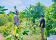 Bhabinkamtibmas Desa Bajur Ajak Warga Wujudkan Ketahanan Pangan Mandiri