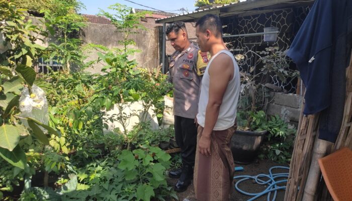 Kolaborasi Desa Kuranji dan Polisi Dukung Kemandirian Pangan