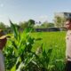 Bhabinkamtibmas Telagawaru Edukasi Petani Soal Lahan Pekarangan Bergizi
