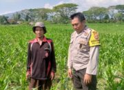 Sinergi Polisi dan Petani di Desa Jagaraga untuk Wujudkan Kemandirian Pangan
