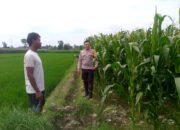 Polsek Kuripan Galakkan Program Ketahanan Pangan di Dusun Adeng, Lombok Barat