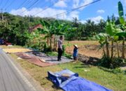 Sinergi Polri dan Petani Dusun Eyat Mayang Perkuat Program Ketahanan Pangan Nasional