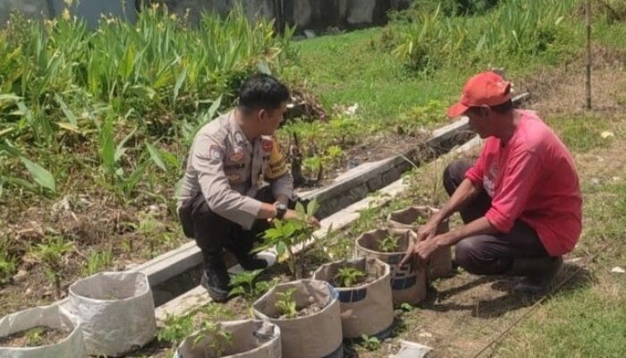Polri Dukung Program Ketahanan Pangan Lewat Edukasi Pertanian di Desa Kuranji