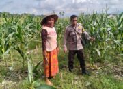 Polsek Labuapi Bangun Kesadaran Pangan Mandiri di Karang Kebon