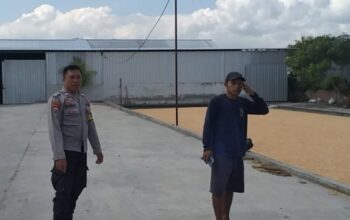 Gudang Jagung CV Galatia Disorot Polisi, Dukungan ke Bulog Jadi Harapan Bersama