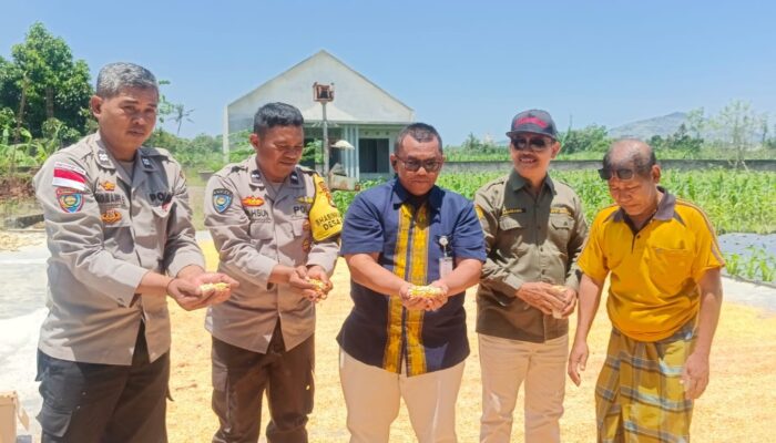 Pendampingan Polri di Gerung: Jagung Desa Beleka Lolos Uji Kadar Air Ideal