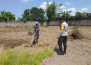 Lombok Barat, NTB – Dalam upaya konkret mendukung Program Ketahanan Pangan Nasional, Bhabinkamtibmas Desa Jagaraga, AIPTU I Gede Dodit, melaksanakan kunjungan dan dialog langsung dengan petani di Dusun Lamper. Kegiatan yang berlangsung pada hari Sabtu, 18 Oktober 2025, pukul 11.00 WITA hingga selesai, ini bertujuan mendorong pemanfaatan lahan produktif secara maksimal oleh warga binaan, baik untuk bercocok tanam maupun beternak atau perikanan. Inisiatif ini merupakan wujud nyata sinergi Polri dan masyarakat dalam menjaga ketersediaan pangan di tingkat lokal. Peran Aktif Polri dalam Mendukung Kemandirian Pangan Daerah Kunjungan Bhabinkamtibmas AIPTU I Gede Dodit di Dusun Lamper difokuskan kepada Bapak Ahmad, salah seorang petani setempat yang memiliki lahan produktif. Dalam pertemuan yang berlangsung hangat dan penuh kekeluargaan, AIPTU I Gede Dodit menyampaikan pentingnya peran aktif masyarakat, terutama para petani dan peternak, dalam menghadapi tantangan ketahanan pangan global. Ia mengajak warga untuk tidak hanya mengandalkan hasil panen utama, tetapi juga memanfaatkan pekarangan rumah atau lahan tidur untuk menanam komoditas pangan cepat panen seperti sayur-sayuran, sebagai bentuk diversifikasi dan cadangan pangan keluarga. Kapolsek Kuripan, Polres Lombok Barat, Polda NTB, Ipda I Wayan Eka Ariyana, S.H., menegaskan bahwa kegiatan ini adalah bagian dari instruksi pimpinan Polri untuk secara masif mengawal dan mendukung program pemerintah. "Peran Bhabinkamtibmas sangat strategis sebagai ujung tombak Polri di desa. Mereka tidak hanya menjaga kamtibmas, tetapi juga menjadi motivator dan penggerak ekonomi kerakyatan, khususnya di sektor pertanian. Kami terus mendorong anggota kami untuk terjun langsung, memastikan warga binaan teredukasi dan tergerak untuk memanfaatkan setiap jengkal lahan yang ada," ujar Ipda I Wayan Eka Ariyana, S.H. Menggali Potensi Lokal Melalui Pemanfaatan Lahan Produktif Inti dari kunjungan tersebut adalah memotivasi Bapak Ahmad dan warga lainnya agar lebih optimal dalam memanfaatkan lahan. AIPTU I Gede Dodit memberikan pemahaman bahwa ketahanan pangan dimulai dari tingkat rumah tangga dan desa. Dengan menanam sayur-sayuran di lahan milik sendiri, warga dapat mengurangi ketergantungan pada pasar, memastikan ketersediaan pangan yang sehat, sekaligus berpotensi meningkatkan pendapatan keluarga. "Saya berdialog dengan Bapak Ahmad, menjelaskan bahwa program ketahanan pangan ini bukan hanya tanggung jawab pemerintah semata, melainkan tanggung jawab kita bersama. Dengan memanfaatkan lahan seoptimal mungkin, kita tidak hanya menjamin ketersediaan pangan keluarga, tapi juga ikut berkontribusi pada ketahanan pangan nasional," kata AIPTU I Gede Dodit. Ia menambahkan, pihaknya siap membantu memfasilitasi komunikasi dengan instansi terkait jika warga membutuhkan bimbingan teknis lebih lanjut mengenai pertanian atau peternakan. Sambutan Positif Warga dan Komitmen Mendukung Program Pemerintah Sambutan dari Bapak Ahmad, petani yang menjadi sasaran kunjungan, menunjukkan antusiasme tinggi terhadap inisiatif ini. Bapak Ahmad menyatakan kesediaannya untuk mendukung program pemerintah dengan mulai menanam berbagai jenis sayur-sayuran di tanah miliknya yang terletak di Dusun Lamper, Desa Jagaraga. "Kami menyambut baik kunjungan dari Bapak Bhabinkamtibmas. Ini sangat memotivasi kami para petani. Kami siap mendukung program ketahanan pangan ini. Kebetulan kami punya lahan, dan arahan dari Bapak Dodit untuk menanam sayur-sayuran sangat masuk akal untuk cadangan pangan keluarga kami. Kami akan segera memulainya," tutur Bapak Ahmad dengan semangat. Hasil dari kegiatan ini tidak hanya terhenti pada komitmen menanam sayuran, tetapi juga berhasil menjalin dan memperkuat tali silaturahmi serta komunikasi yang baik antara Polri dan warga binaan. Komunikasi yang intensif dan berkelanjutan seperti ini sangat penting untuk memastikan program-program pemerintah dapat berjalan lancar dan tepat sasaran di tingkat desa. Secara keseluruhan, kegiatan Bhabinkamtibmas Desa Jagaraga AIPTU I Gede Dodit di Dusun Lamper ini berjalan lancar. Situasi di lokasi terpantau aman dan kondusif, mencerminkan sinergi yang harmonis antara aparat keamanan dan masyarakat. Upaya ini menjadi salah satu pilar penting dalam mewujudkan kemandirian pangan yang berkelanjutan di wilayah Kabupaten Lombok Barat, sekaligus mengukuhkan citra Polri sebagai pengayom dan mitra produktif bagi masyarakat. Keberhasilan ini diharapkan dapat menjadi contoh inspiratif bagi desa-desa lain untuk turut serta aktif dalam program penguatan ketahanan pangan nasional.