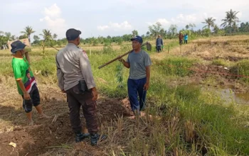 Panen Jagung Manis di Karang Bongkot Dihadiri Bhabinkamtibmas