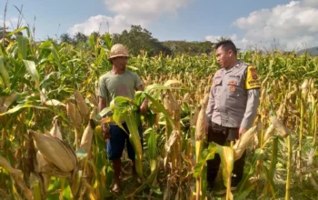 Kapolsek Kuripan: Ketahanan Pangan Harus Dimulai dari Desa