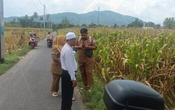 Panen Jagung di Babussalam, Polri Jadi Sahabat Petani Lombok Barat
