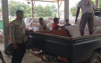 Polsek Sekotong Jamin Jagung Petani Terserap Bulog Tanpa Hambatan