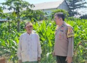 Untitled Sinergi Polsek Labuapi dan Warga Perkuat Pangan Lombok Barat