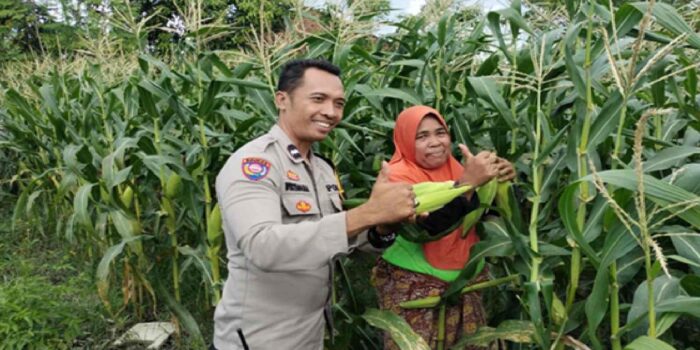 Sinergi Polri dan Warga Labuapi Wujudkan Kemandirian Pangan Keluarga