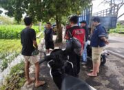 Warga Mesangguk Antusias, Polisi Sosialisasikan Layanan Darurat KEMOS 110