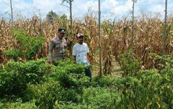 Langkah Praksis Polsek Gerung: Edukasi Pemanfaatan Lahan Kosong