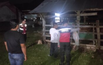 Apresiasi Warga Mengalir, Polisi Hadir di Tengah Sunyi Dini Hari Amankan Hewan Ternak