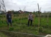 Polri dan Petani Bersatu Wujudkan Ketahanan Pangan di Desa Jagaraga