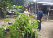 WhatsApp Image 2025-11-17 at 14.32.27_de458ab9