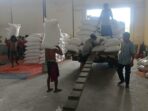 WhatsApp Image 2025-12-10 at 16.17.15 Sinergi Amankan Pangan: 7 Ton Jagung Petani Lobar Tiba di Gudang BULOG Mataram