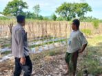 Dukung Program Pangan, Polres Lombok Barat Dorong Warga Bertani Mandiri