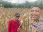 Polres Lombok Barat Aktif Dampingi Petani Tingkatkan Ketahanan Pangan