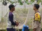 Polsek Labuapi Dorong Ketahanan Pangan di Desa Bengkel