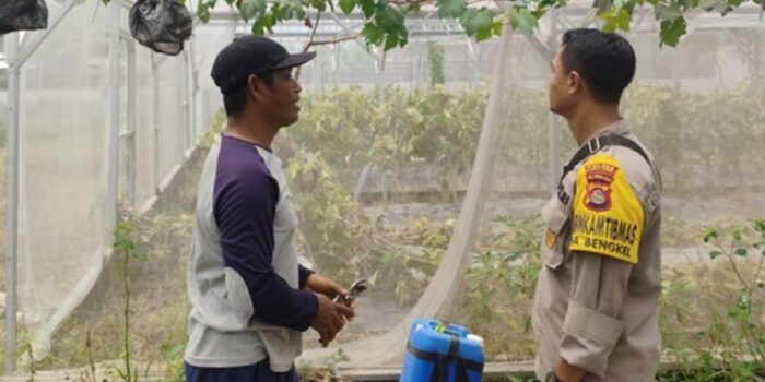 Polsek Labuapi Dorong Ketahanan Pangan di Desa Bengkel