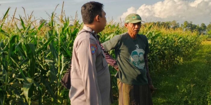 Strategi Polsek Labuapi Perkuat Kedaulatan Pangan Desa