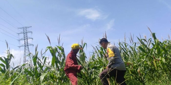 Polres Lobar Dorong Pemanfaatan Lahan di Kuranji Dalang