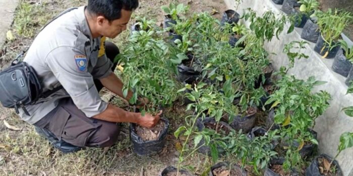 Sinergi Polri dan Warga Bengkel Kelola Lahan Produktif
