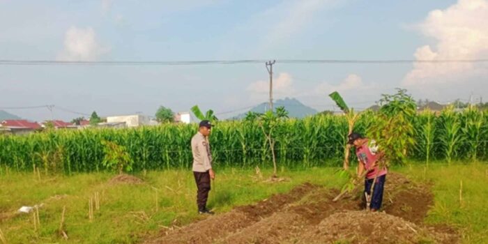 Labuapi Edukasi Petani Optimalkan Lahan Produktif